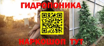 шишки Краснодар