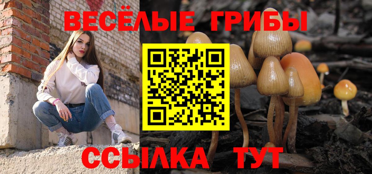 Галлюциногенные грибы Magic Shrooms Славгород