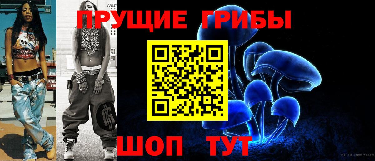 Славгород  Галлюциногенные грибы GOLDEN TEACHER  Вход с VPN 